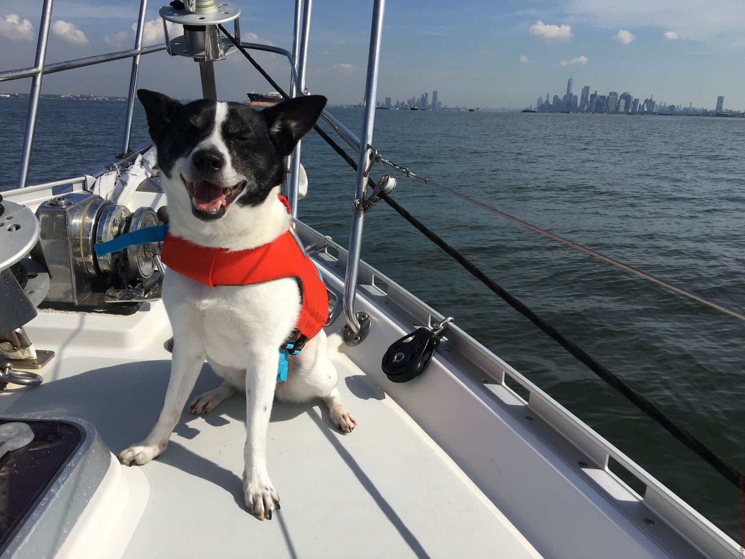 Video: Welcome to New York