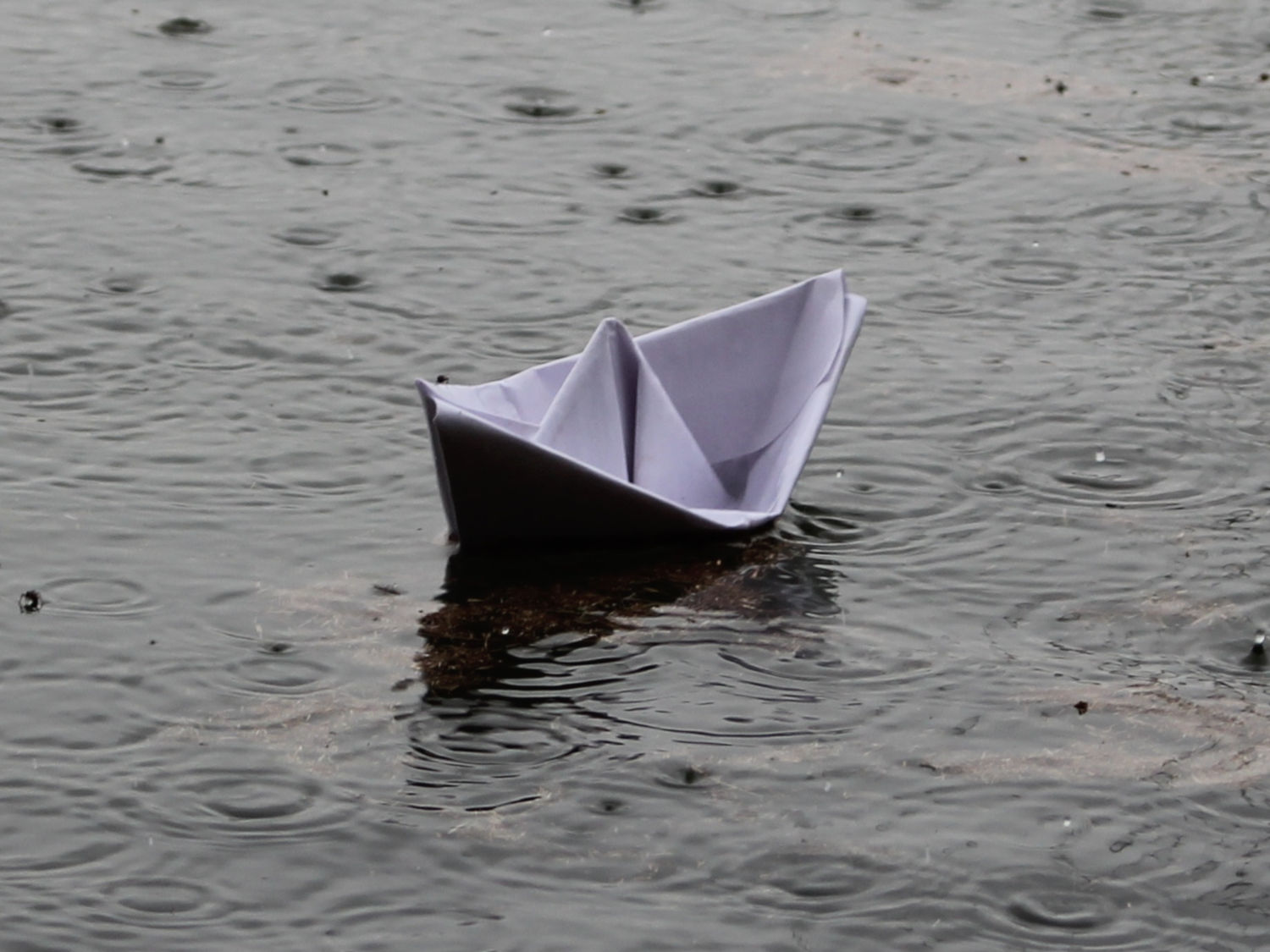 An Open Letter to Thomas