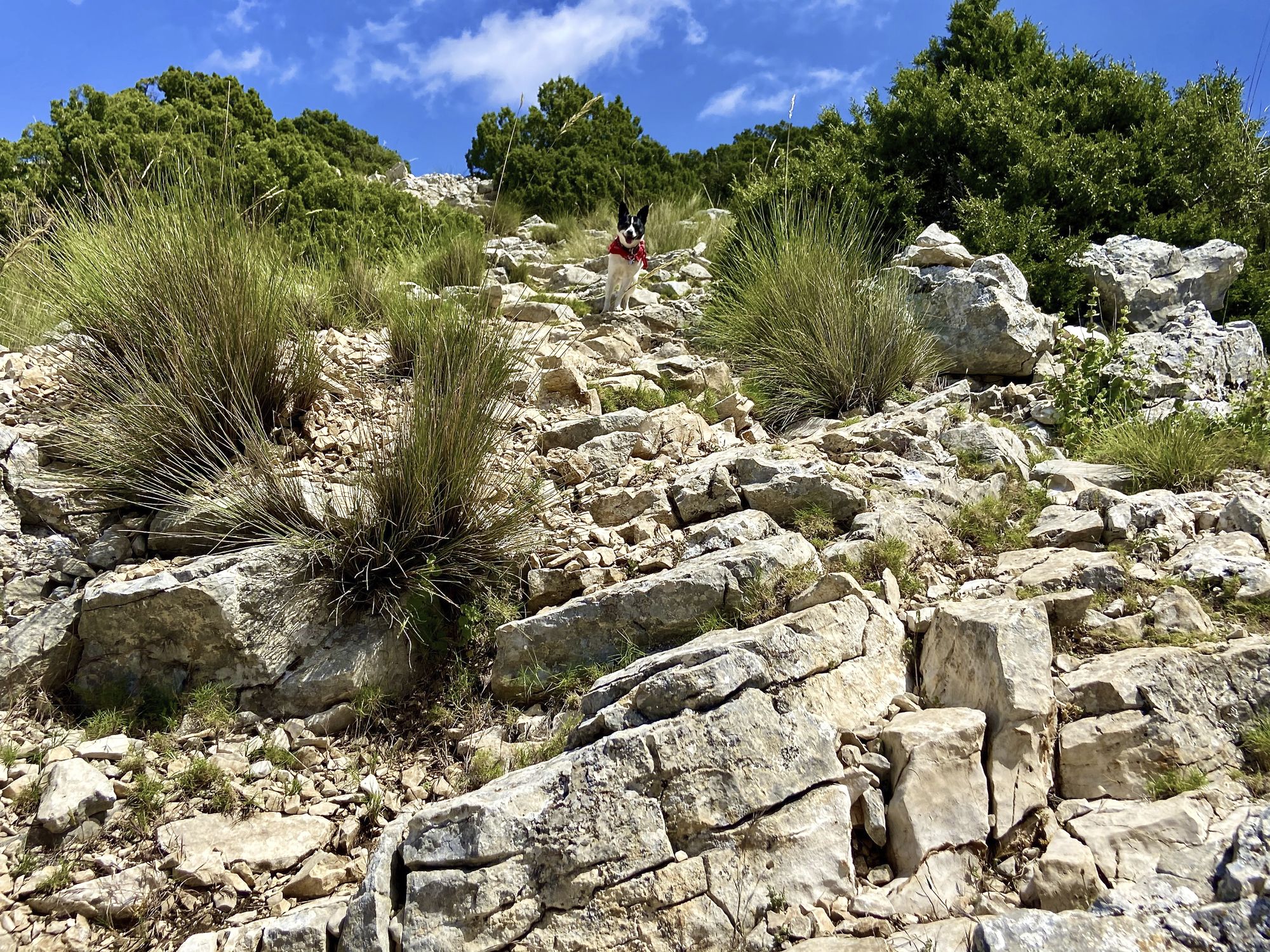 Sierra Espuña Half-Marathon