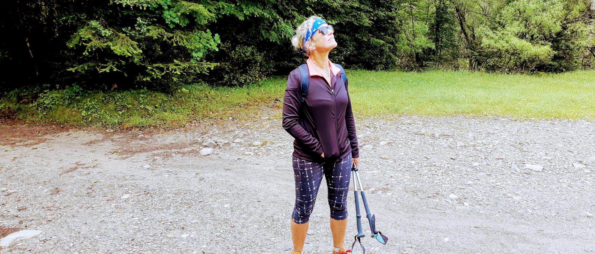 Video: Swifts or Swallows?