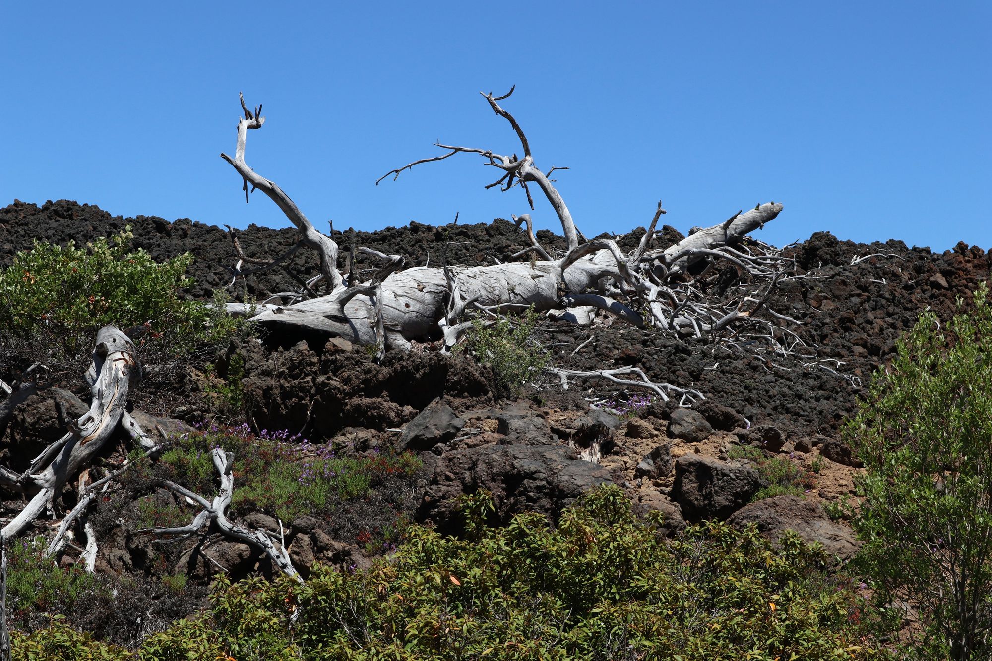 Young Women and Fire (Photos)