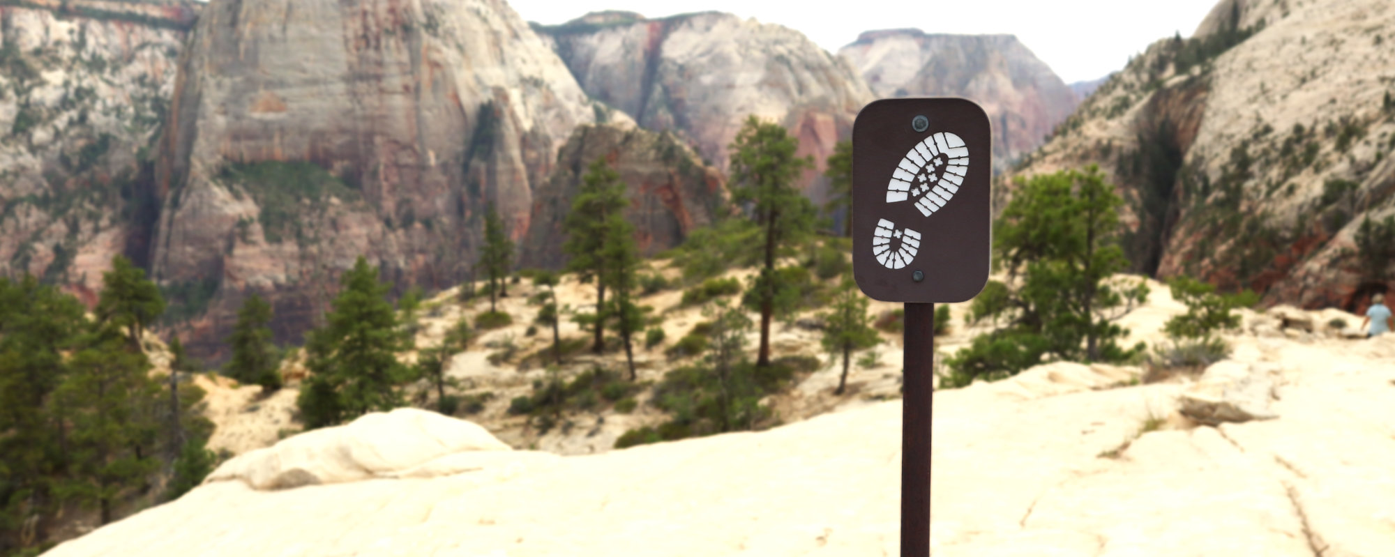 Zion National Park (Photos)