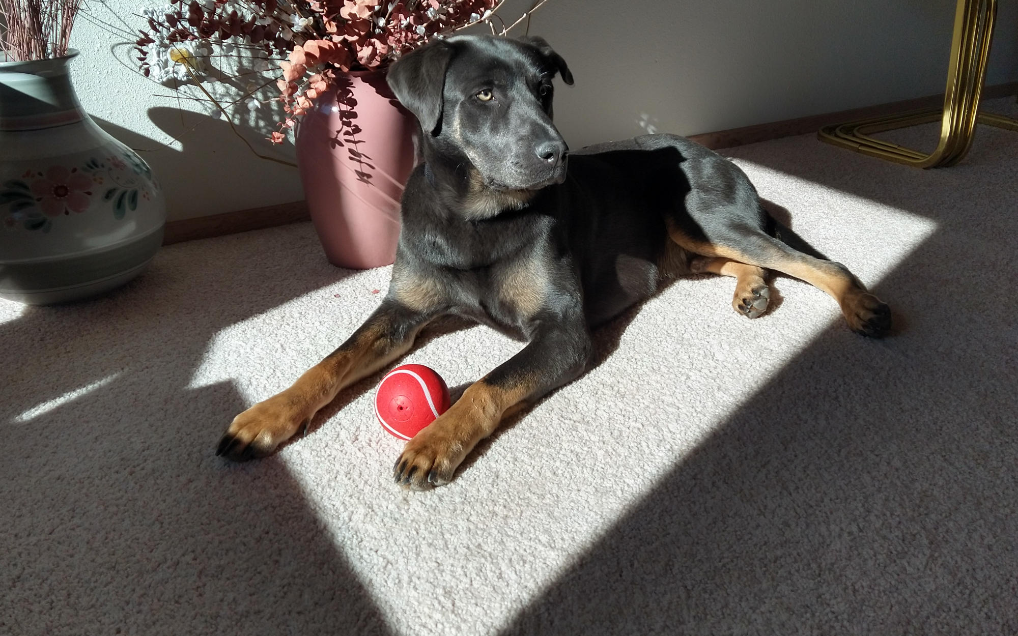 Bodhi and a New Age of Enlightenment