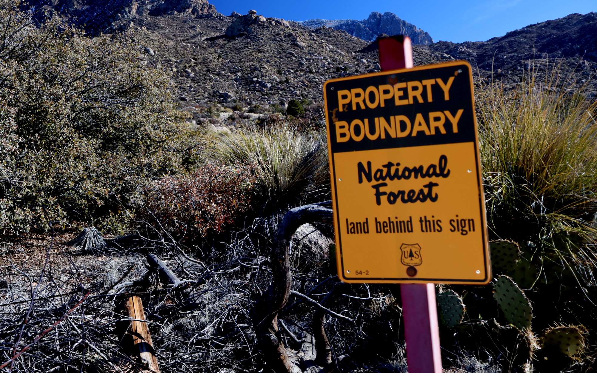 Photos: A Walk in the Wilderness