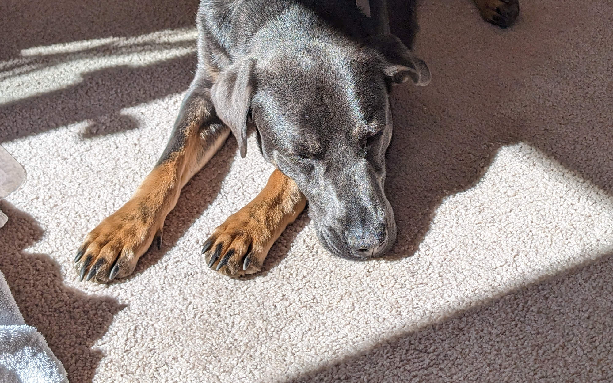 Failure is an Option