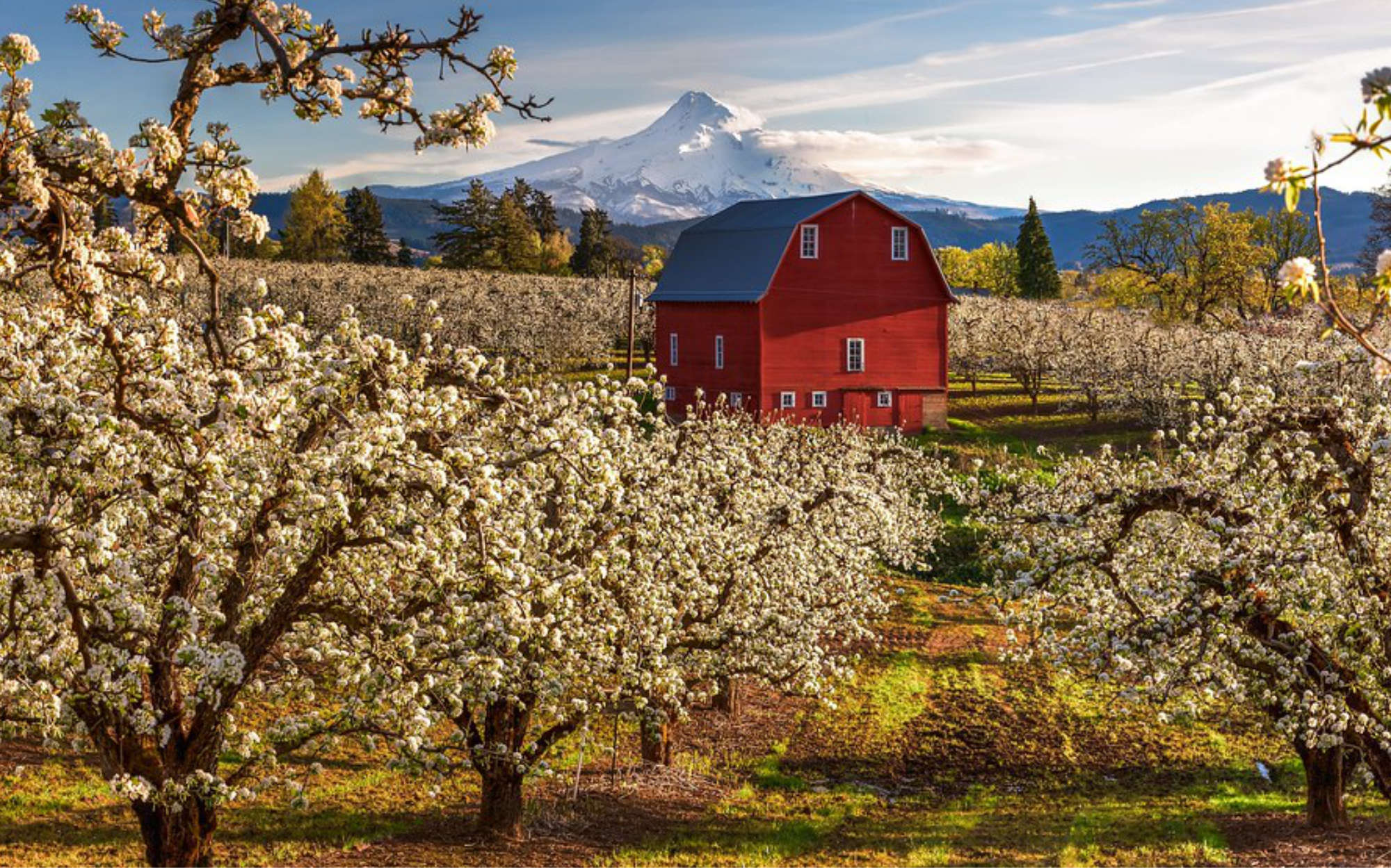 Hood River Round Up