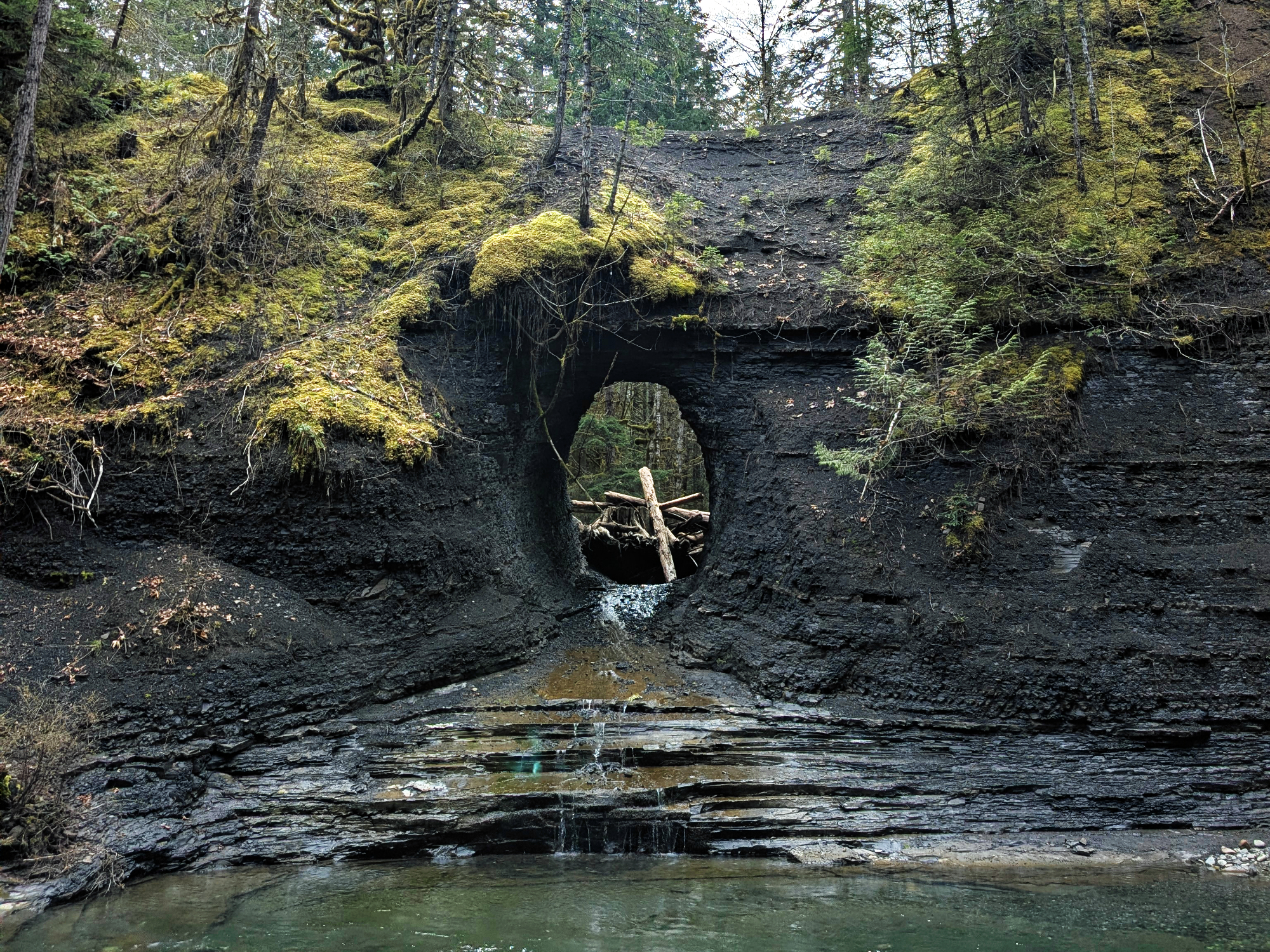 The Last Train to Parksville