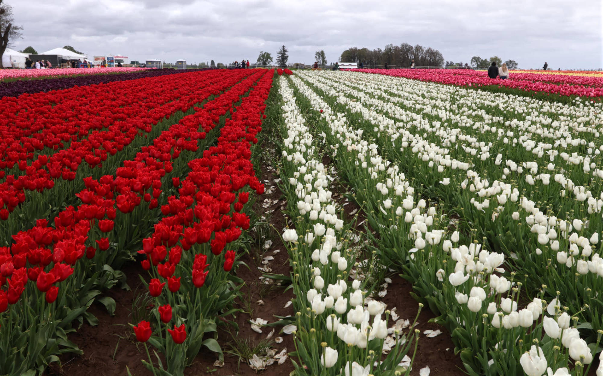 Parks and Recreation